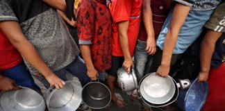 Menlu Belgia: Diam Tak Bisa Jadi Respons atas Penderitaan Anak-anak Palestina