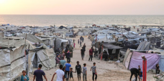 “Migrasi” adalah Eufemisme: Rencana Pengosongan Gaza Belum Pernah Benar-Benar Dibatalkan